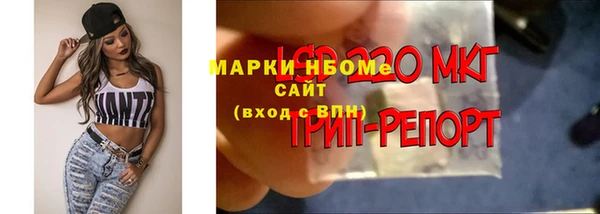 гидропоника Бородино