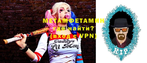 прущие грибы Верея