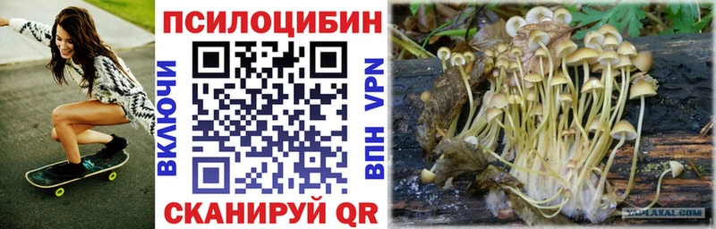 Псилоцибиновые грибы ЛСД  Купить закладки  Губкин 
